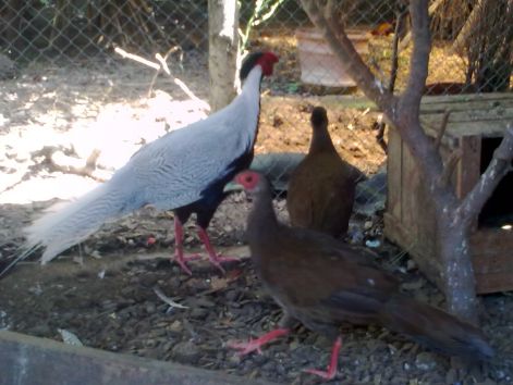 20090709_033.jpg