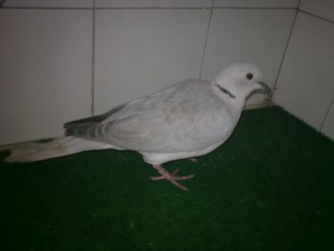 20100223_004.jpg