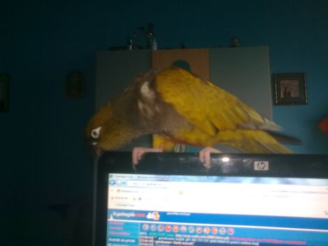 20100311_005.jpg
